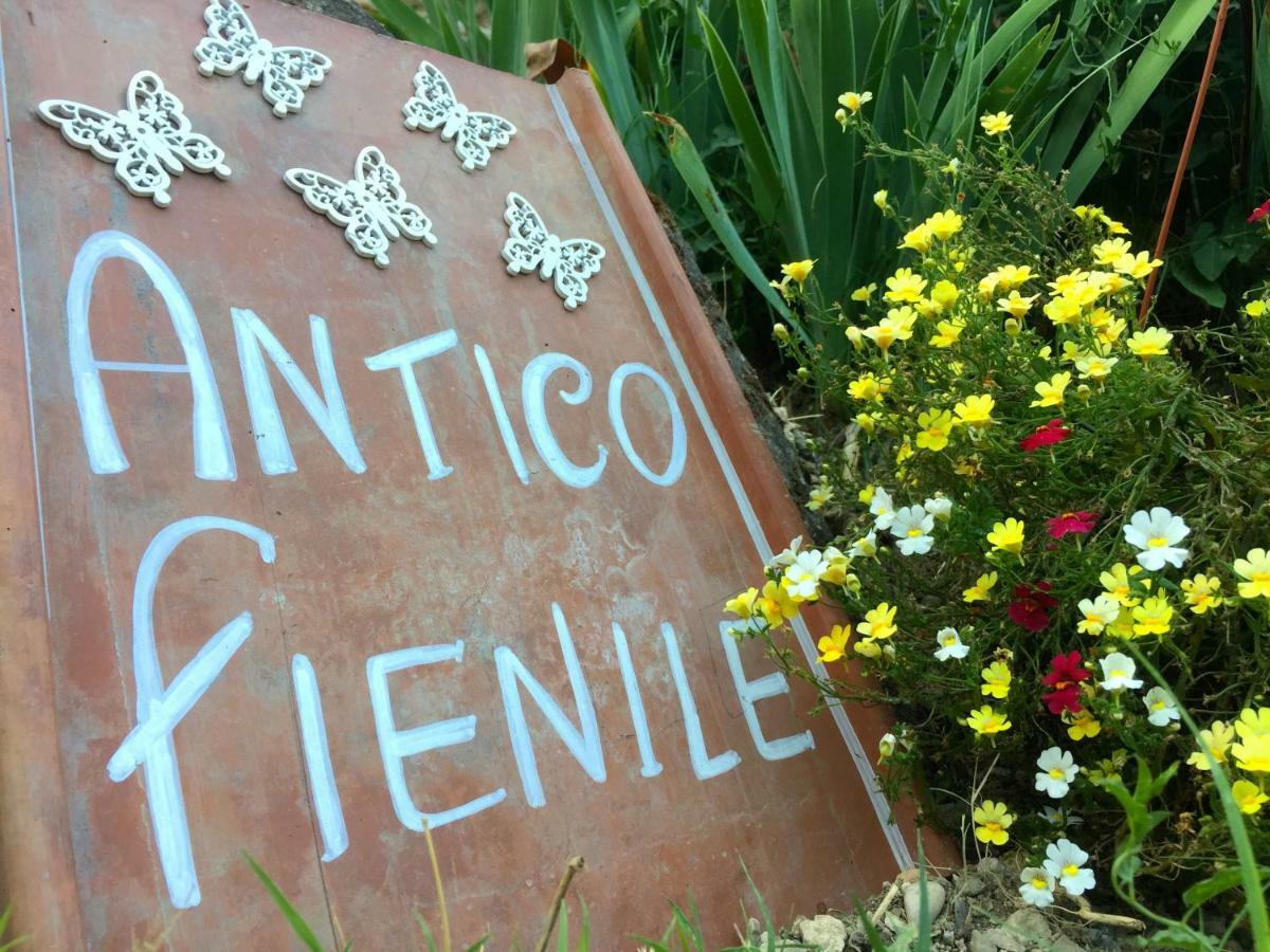 Antico Fienile Βίλα Celleno Εξωτερικό φωτογραφία