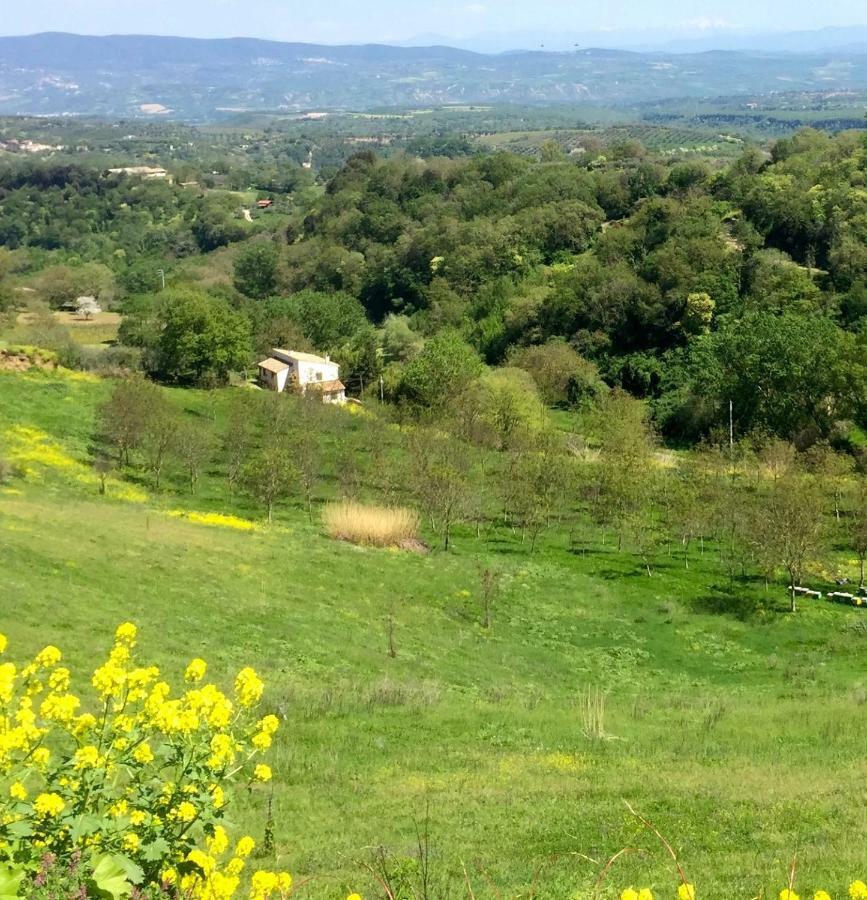 Antico Fienile Βίλα Celleno Εξωτερικό φωτογραφία